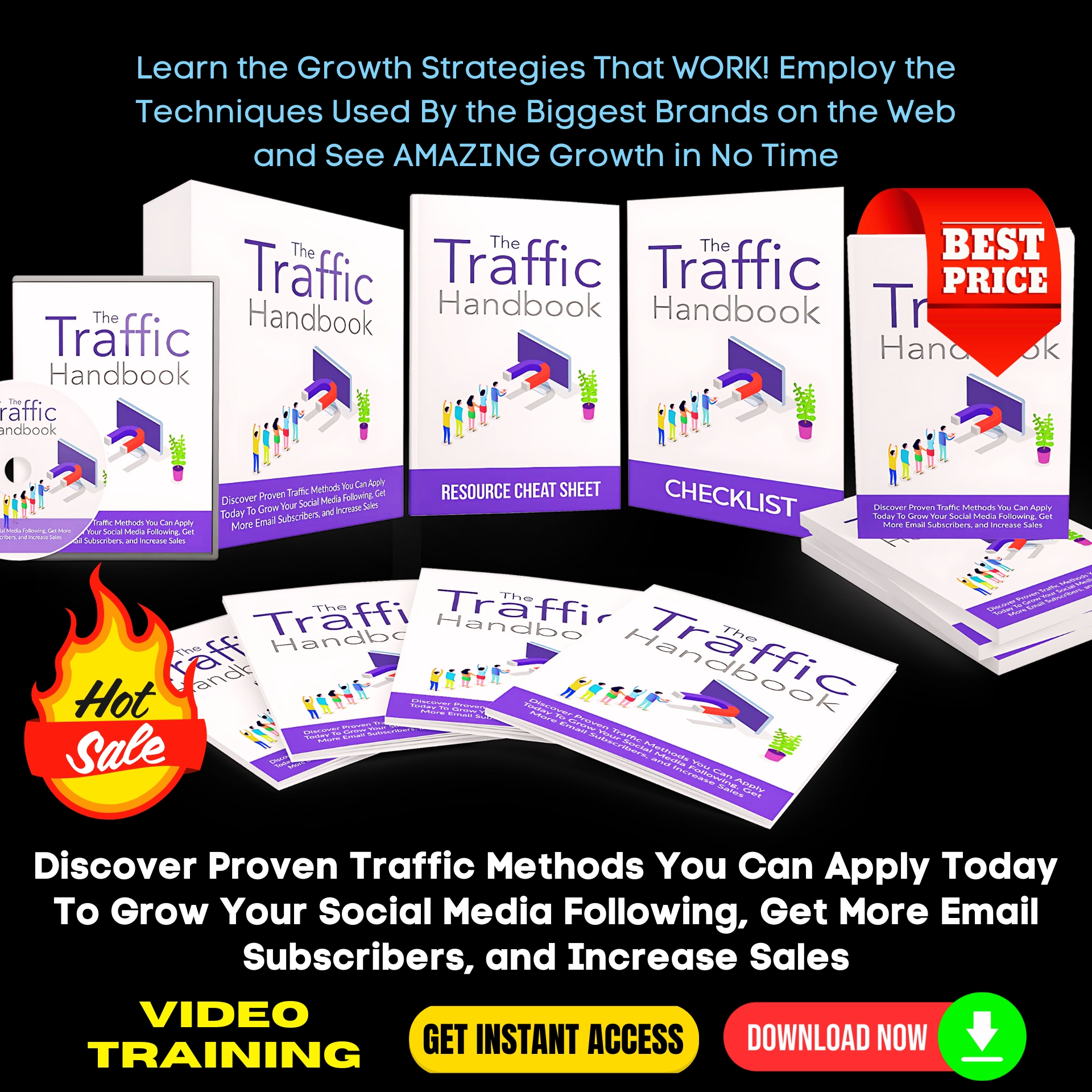 The Traffic Handbook Upgrade Package - Video Course