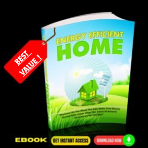 Energy Efficient Home (eBook)