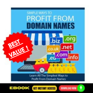 Simple Ways To Profit From Domain Names (eBook)